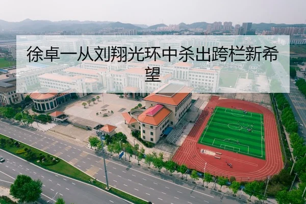 徐卓一从刘翔光环中杀出跨栏新希望