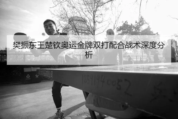 樊振东王楚钦奥运金牌双打配合战术深度分析