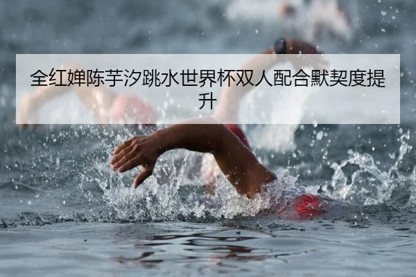 全红婵陈芋汐跳水世界杯双人配合默契度提升