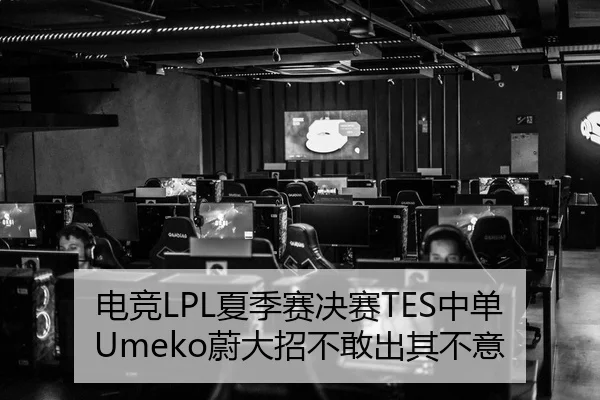 电竞LPL夏季赛决赛TES中单Umeko蔚大招不敢出其不意